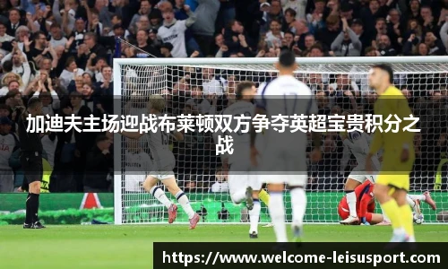 加迪夫主场迎战布莱顿双方争夺英超宝贵积分之战